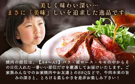 佐賀牛モモブロック 約500~600g