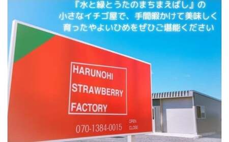 R3-31  大粒完熟　群馬県産いちご「やよいひめ」４００ｇ×２｜ ｲﾁｺﾞ いちご 苺 いちご ｲﾁｺﾞ 果物 いちご 旬 いちご いちご