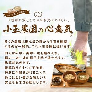 【令和7年度産】ゆめぴりか 精米 4.5kg【小玉農園】【CF-006】