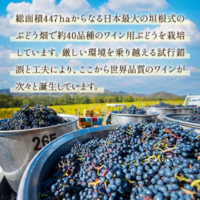 ふるさと納税 浦臼町 鶴沼収穫ワイン【レンベルガー】赤ワイン 2019年産 |  | 02