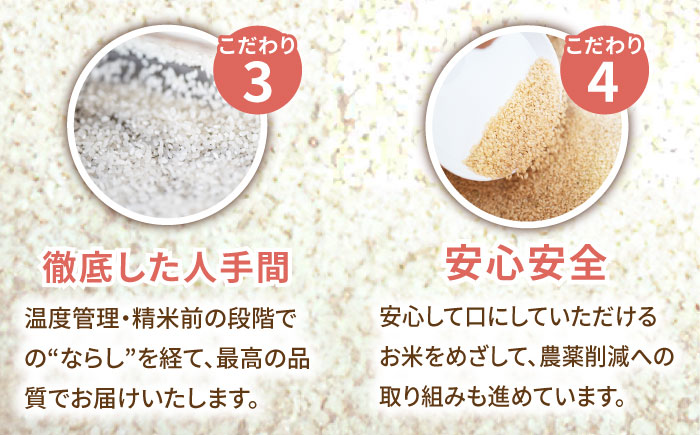 【12回定期便】令和5年産 さがびより 白米 5kg＜14年連続特A評価＞ 配送前精米/江口農園 [UBF026] 米 お米 白米 精米 ブランド米