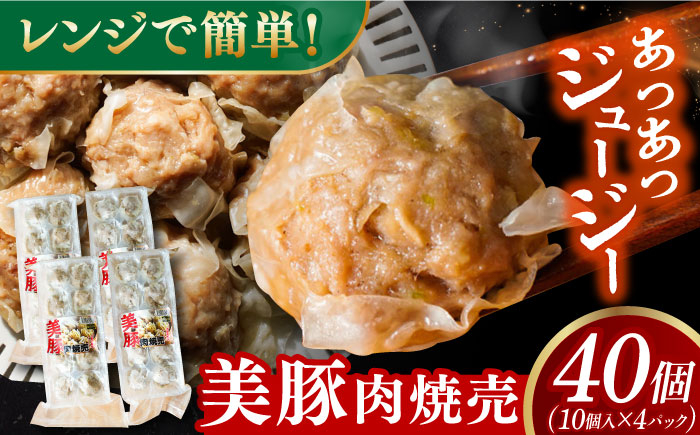 
五島美豚肉焼売10個×4パック 長崎県/有限会社長崎フードサービス [42ADAB018]
