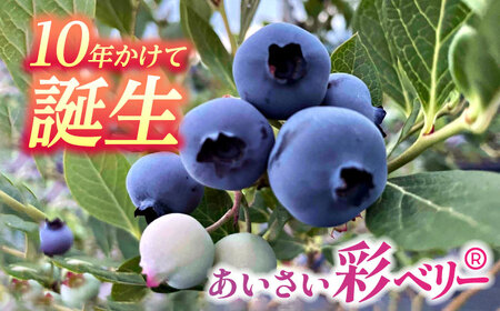 あいさい彩ベリー（ブルーベリー冷凍果実）250g×2パック プレミアムブルーベリー 産地直送ブルーベリー 愛知県産ブルーベリー 愛西産ブルーベリー 国産ブルーベリー 果物 フルーツ 冷凍ブルーベリー 