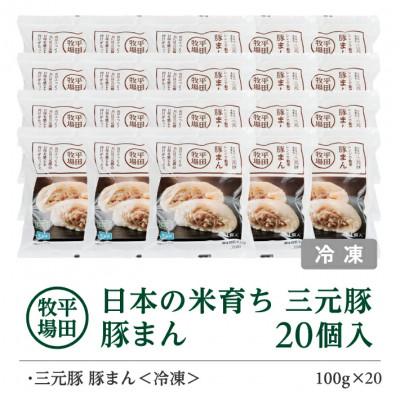 ふるさと納税 酒田市 日本の米育ち三元豚豚まん(100g)20個 |  | 03