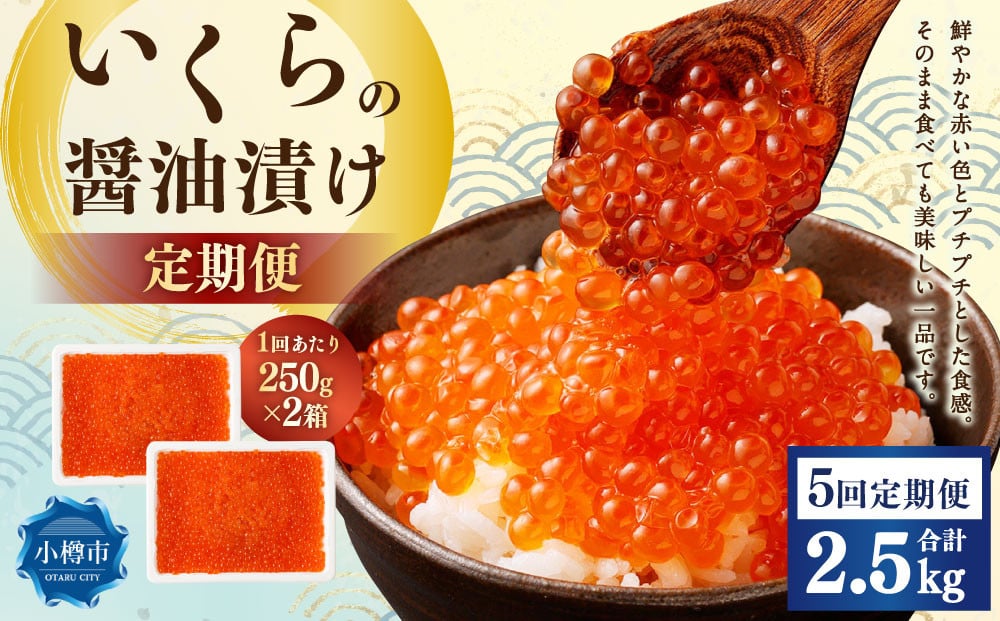 
            【5回定期便】いくらの醤油漬け 500g（250g×2） いくら イクラ 醤油漬け 冷凍 北海道 小樽市
          