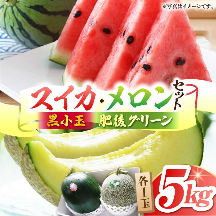 【ふるさと納税】【先行予約】【数量限定】黒小玉 スイカ (ひとりじめBonBon)・肥後グリーンメロン のセット 各1玉（計 約5kg）【岡山農園】[ZBY003] 果物 くだもの すいか 西瓜 メロン めろん 季節物 旬 産地直送 甘さ 糖度 食感 サイズ 2種 セット 九州 熊本県 山鹿