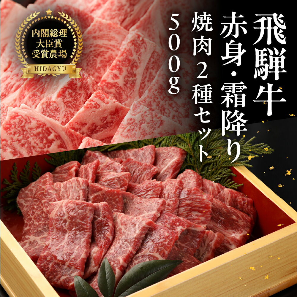 【ふるさと納税】飛騨牛 ロース・赤身 焼肉 セット（ロース200g・赤身300g）計 500g 牛肉 ブランド牛 お肉 肉 焼き肉 焼き肉用 おすすめ 飛騨萩原畜産 【冷凍配送】 食べ比べ 贈答 ギフト 人気 下呂市 牛肉 和牛 黒毛和牛 37000円 40000円