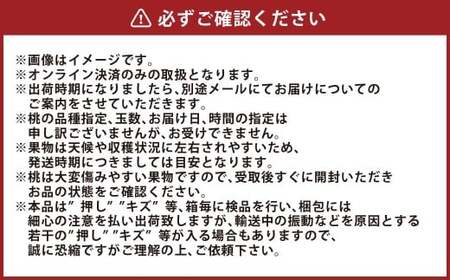 岡山 白桃 8～10玉 （合計2.0kg以上） 【2026年7月上旬～8月上旬 発送予定】 白桃 桃 もも モモ 果物 くだもの フルーツ お取り寄せ 贈り物 ギフト 国産