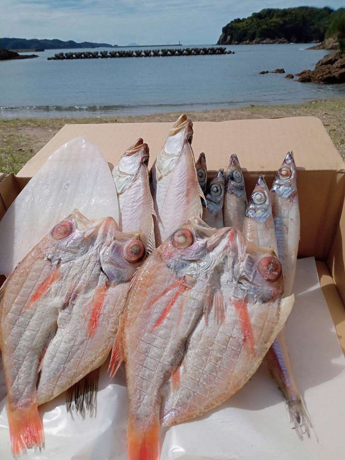 
しまね浜田の美味しい のどぐろ カレイ 白イカ 沖キス 一夜干しセット 魚介類 魚貝類 魚 干物 一夜干し セット 詰め合わせ アカムツ【1706】
