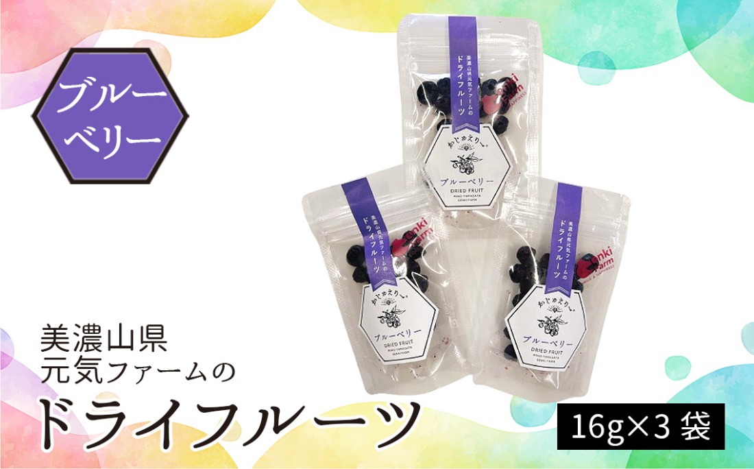 美濃山県元気ファームのドライフルーツかじゅえりー　ブルーベリー  [No.1103]