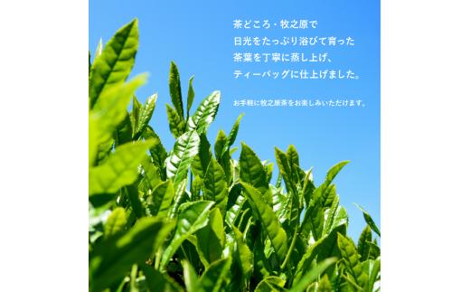 緑茶 ティーバッグ 100個 50個 × 2袋 のみま煎か 深蒸し 茶 お茶 茶葉 水出し緑茶 水出し 静岡茶 緑茶 新茶 日本茶 飲料 飲み物 ちゃ おちゃ りょくちゃ 静岡お茶 緑茶ティーバッグ 