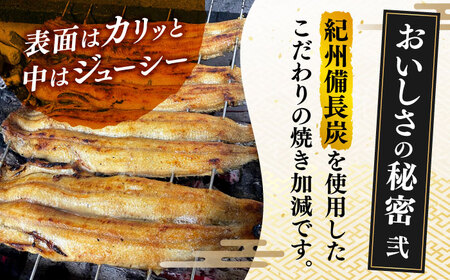 特大 うなぎの蒲焼き 1尾 （約250g） 【うなぎや】[TFO001]