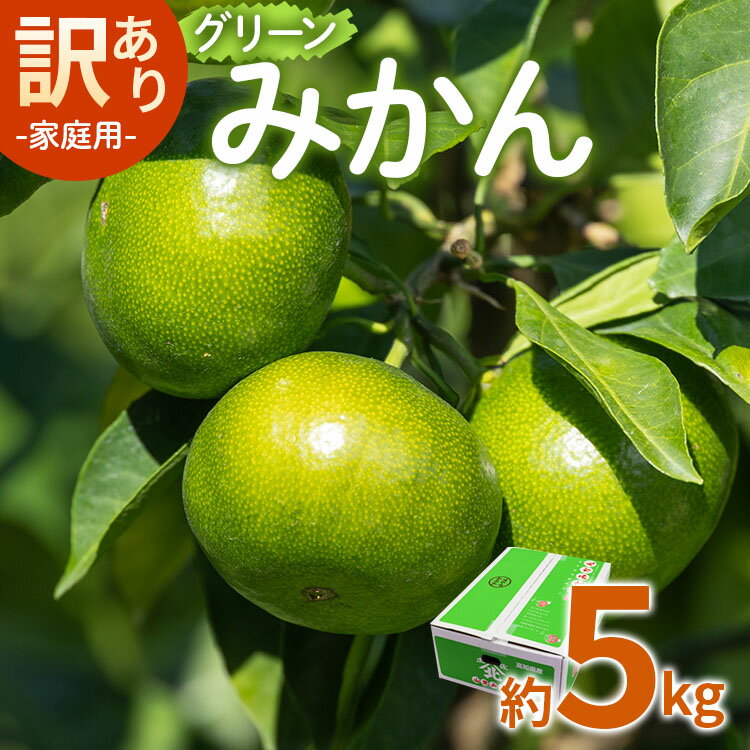 【ふるさと納税】家庭用 訳あり グリーンみかん 約5kg - 送料無料 ミカン 蜜柑 柑橘 果実 果物 フルーツ ご自宅用 ジューシー 果汁 フレッシュ 旬 季節 かなや農園 合同会社Benifare 国産 特産品 高知県 香南市【常温】