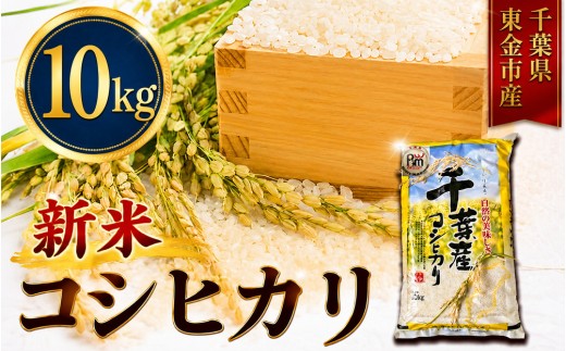 新米 コシヒカリ 10kg 米 お米 こめ コメ こしひかり 8年度産 5kg×2袋 千葉県産 kome okome 精米 白米 ご飯 ごはん 備蓄米 国産 炊飯 ※ ブランド米 甘い ツヤ ギフト 贈答 甘み 粘り 香り リピート 冷めても美味しい kosihikari 農家直送 数量限定 産地直送 前嶋商店 千葉県 東金