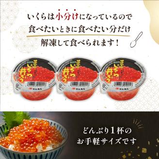 北海道産 いくら 80g×3 + ほたて 500g 小分けいくらとほたてのセット 小分け イクラ 魚卵 ホタテ 貝 魚介類 海産物 釧路市 _F4F-4203