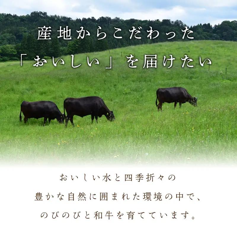 【京都モリタ屋専用牧場】牛肉 スネ・肩肉など 約500ｇ 3~4cm角カット