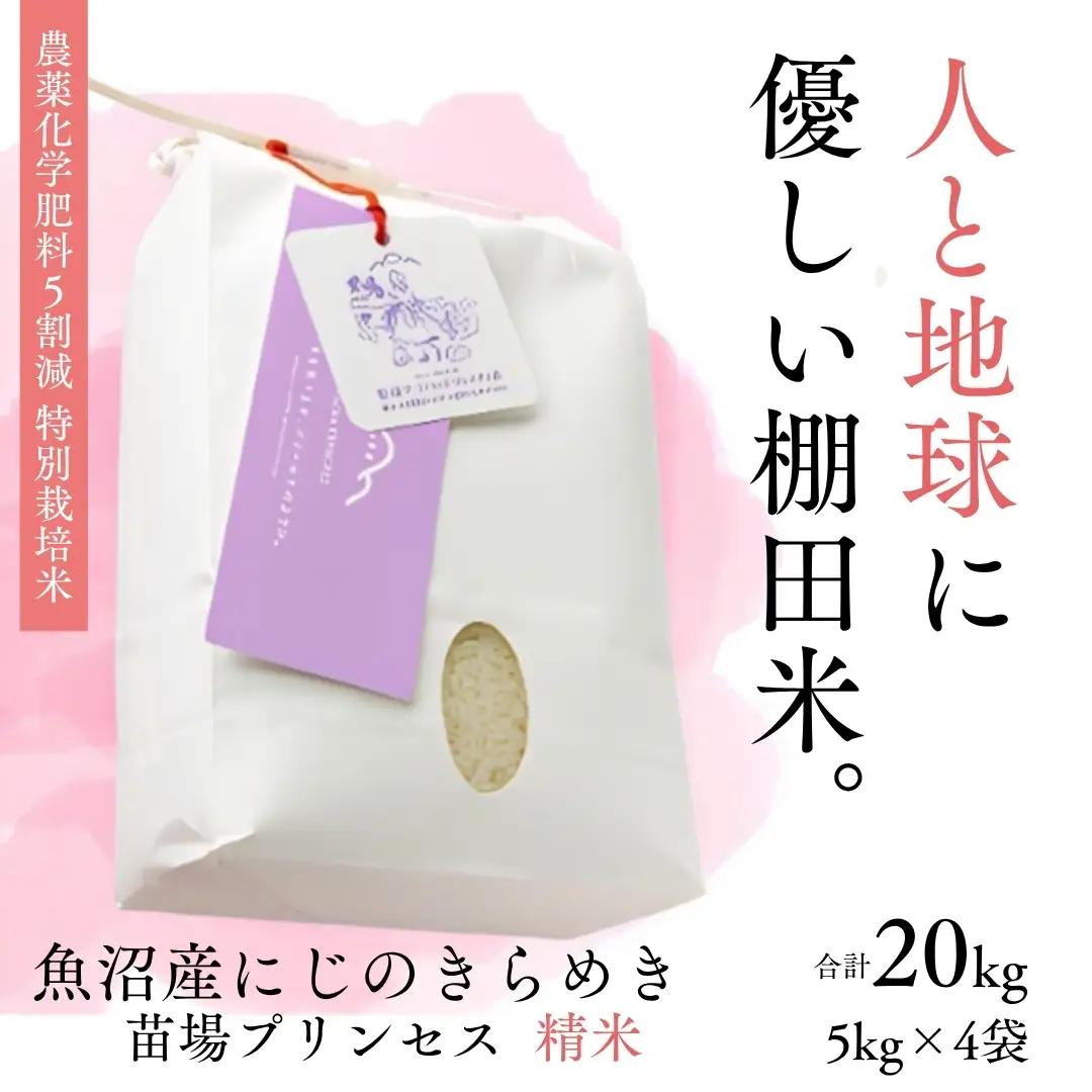 【令和8年産先行予約】【農薬化学肥料5割減】魚沼産にじのきらめき苗場プリンセス特別栽培米 精米20kg (5kg×4) | 津南町 にじのきらめき