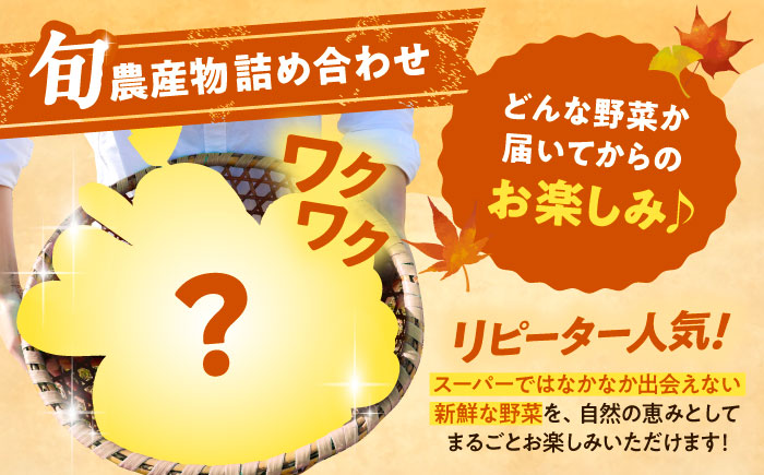 【2026年11月下旬以降発送】 秋の味覚セット（小）（じゃがいも5kg・旬の農産物詰め合わせ） | 野菜セット 野菜 詰合せ じゃがいも 季節の野菜 | 道の駅 真狩フラワーセンター [BPAM00
