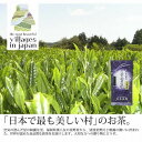 【ふるさと納税】【定期便6回コース】奥八女星野村 深蒸し高級煎茶(深蒸し茶)100g×1袋