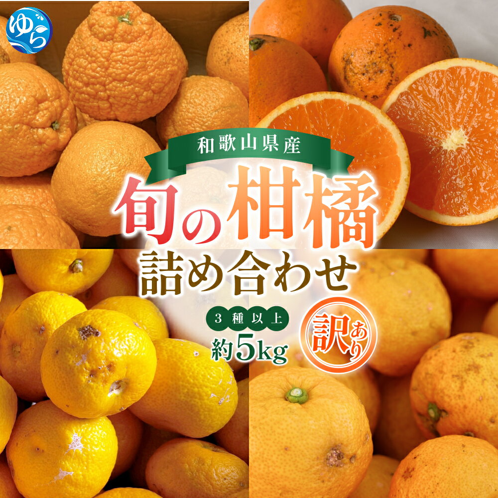 【ふるさと納税】 訳あり 旬の 柑橘 詰め合わせ（3種以上）5kg / みかん 蜜柑 フルーツ 果物 くだもの 和歌山 ※2027年2月上旬～2027年3月下旬に順次発送 ※北海道・沖縄・離島配送不可