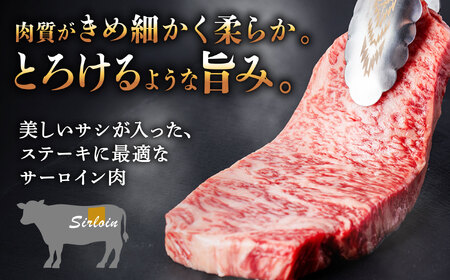 【12月発送】【飛騨牛】 A5等級 サーロイン ステーキ用 3枚 (計750g) 和牛 ブランド牛 国産 牛肉 多治見市 / 渡辺精肉店 [TAZ001-12]
