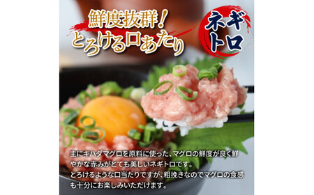 訳あり 鯛の漬け丼＆マグロのネギトロ 各10P 計20P