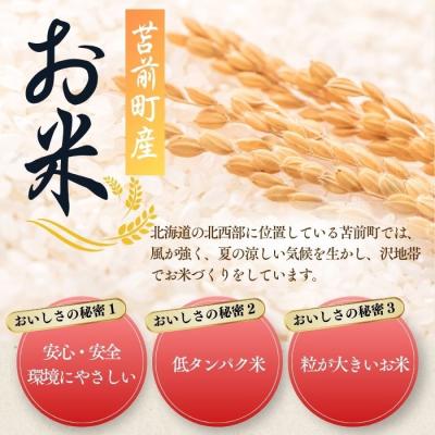 ふるさと納税 苫前町 令和7年産 北海道とままえ産 ななつぼし 5kg【定期便 12か月】 北海道産 rum25 |  | 01