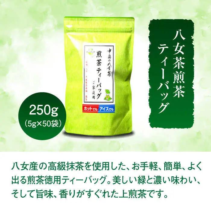 福岡銘茶八女茶 急須要らずのお手軽セット(便利なチャック付)[BGAC045] 八女茶