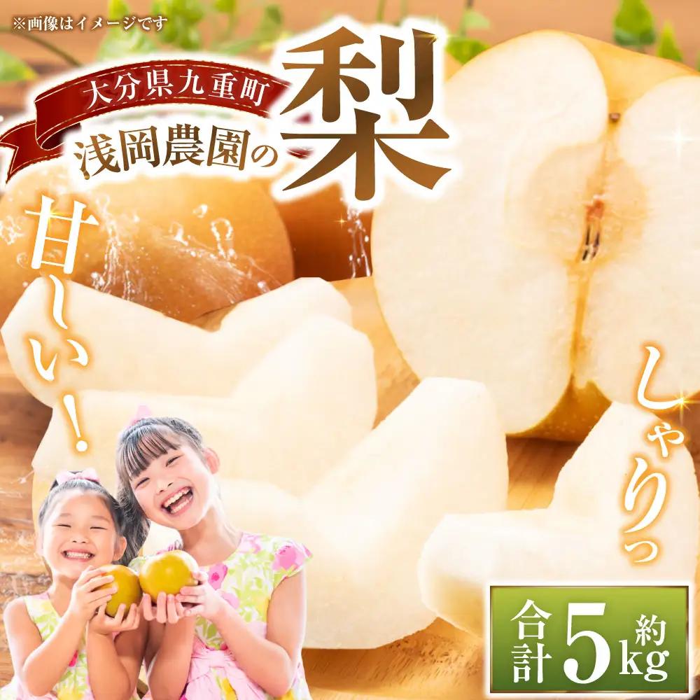 浅岡農園 の 梨 約5kg 豊水 秋月 新高 甘太 果物 大分県産 【2026年9月上旬-11月上旬発送予定】