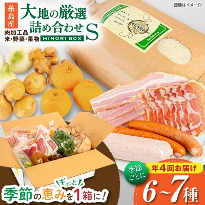 ふるさと納税 糸島市 【全4回定期便】糸島産 肉 米 野菜 果物 厳選詰め合わせ Sサイズ [AOP001]