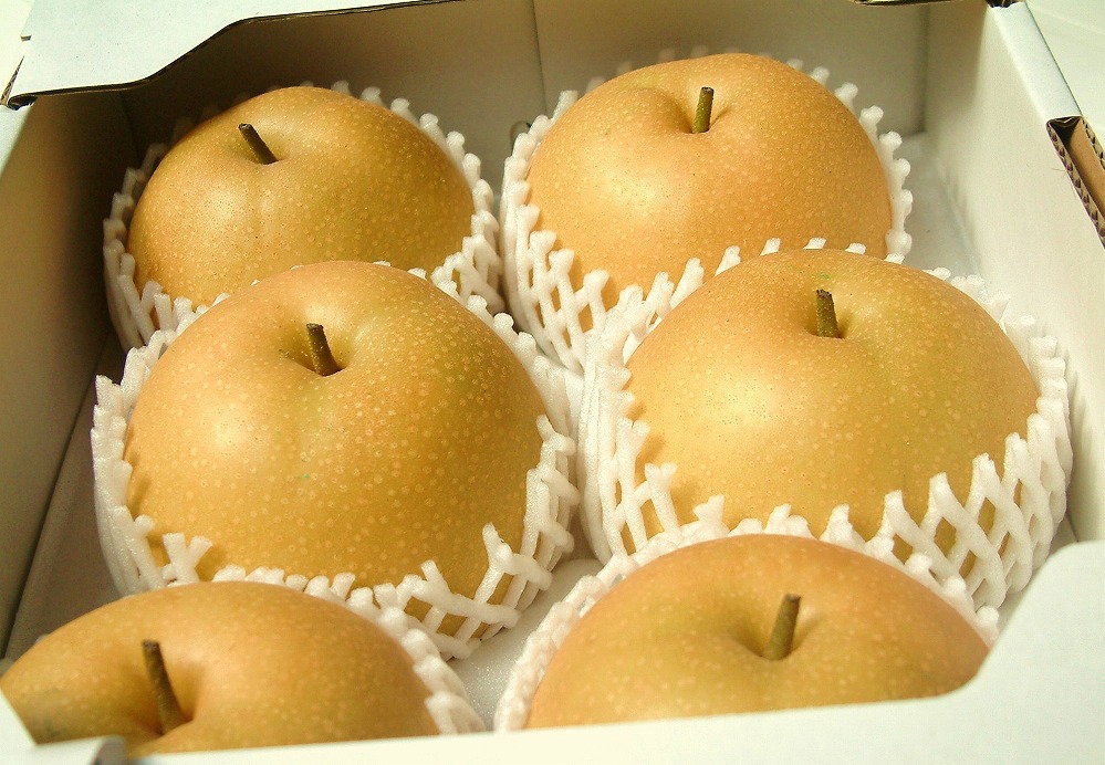 上岡果樹園の新高梨（にいたかなし）（1）【4～6玉入り】