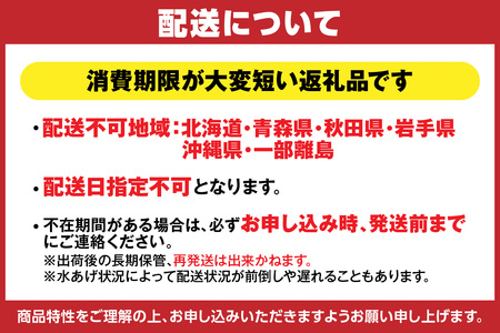 【先行予約】特選 活 松葉がに 生 1匹（約900g～1kg）冷蔵 【令和8年11月中旬以降発送予定】かに カニ 33-27