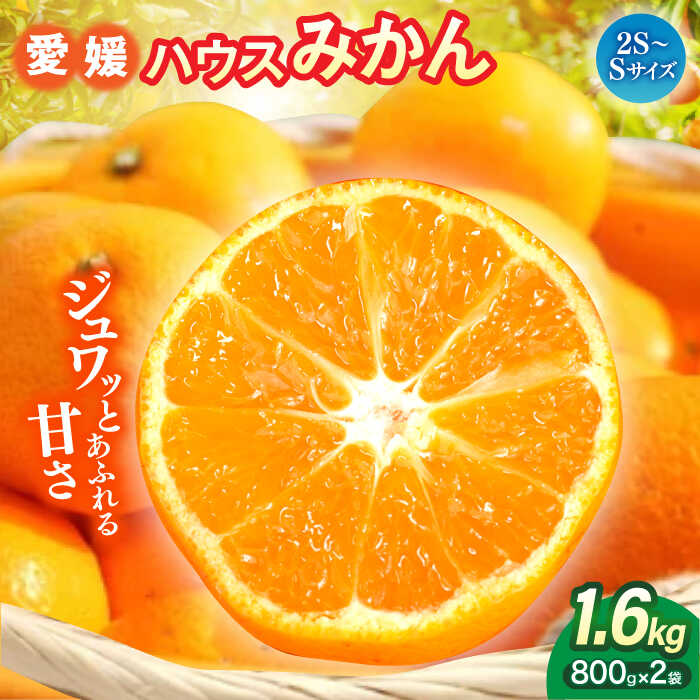 【ふるさと納税】【7月下旬より順次発送】大洲産ハウスみかん（2S〜Sサイズ）800g×2袋 大洲市/沢井青果有限会社[AGBN020] 先行予約 みかん ミカン 蜜柑 果物 くだもの フルーツ 愛媛県産 大洲市産 産地直送 おすすめ 人気 お取り寄せ 送料無料 贈答 ギフト
