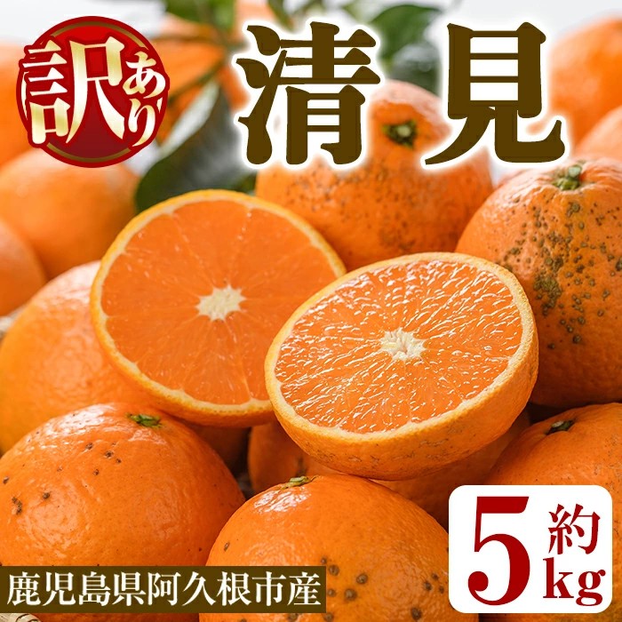 ＜先行予約受付中！2027年2月以降順次発送予定＞訳あり 清見(約5kg) 国産 鹿児島県 阿久根市 果実 果物 フルーツ 柑橘 みかん ミカン きよみ 訳アリ 期間限定 数量限定 【桐野柑橘株式会社】akn070-20