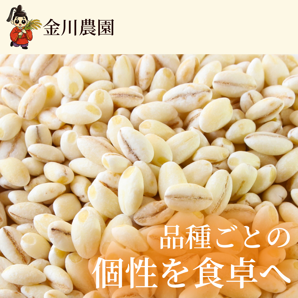 【先行受付】裸麦のキラリモチ 1kg 2026年7月以降発送予定 大麦 麦 麦ごはん ご飯 米 コメ お米 雑穀 健康 腸活 238016