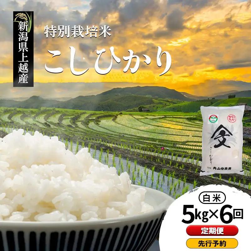 【先行予約・定期便】コシヒカリ 白米 上越産 5kg×6回 コシヒカリ
