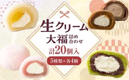 生クリーム大福詰め合わせ（20個入）|大福 生クリーム大福 冷凍 20個 5種類 デザート スイーツ 詰め合わせ 香川県 三木町|_mk021-001