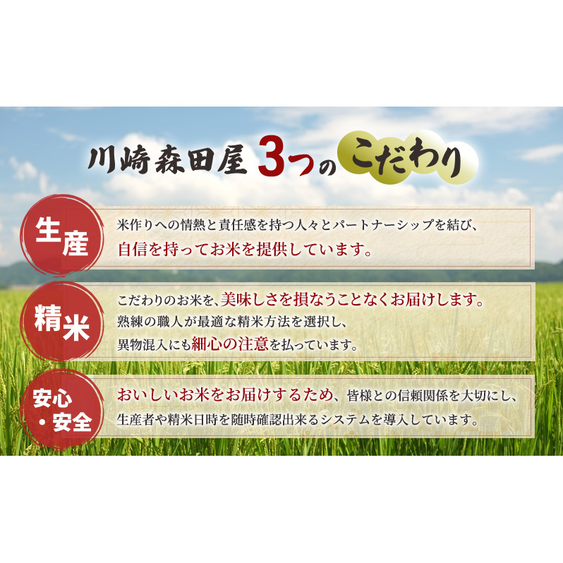 米 定期便 6ヵ月 ゆめぴりか 無洗米 10kg 白米 精米 産地直送 お米 単一原料米 ブランド米 特A米 特A 10キロ 北海道産 ご飯 ごはん こめ 送料無料 令和7年産 北海道 芦別 芦別市 
