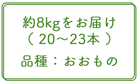 【数量限定！8月末発送予定】北海道厚真産とうもろこし『おおもの』《厚真町》【(株)厚真ファーム】とうもろこし とうもろこし とうもろこし とうもろこし [AXAE001]