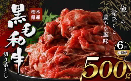 【定期便6回】栃木県産牛 黒毛和牛 切り落とし  500g  | 黒毛 和牛 牛肉 焼肉 とろける 霜降り 赤身 切り落とし ふるさと 納税 イチオシ おすすめ 栃木県 下野市 しもつけ市