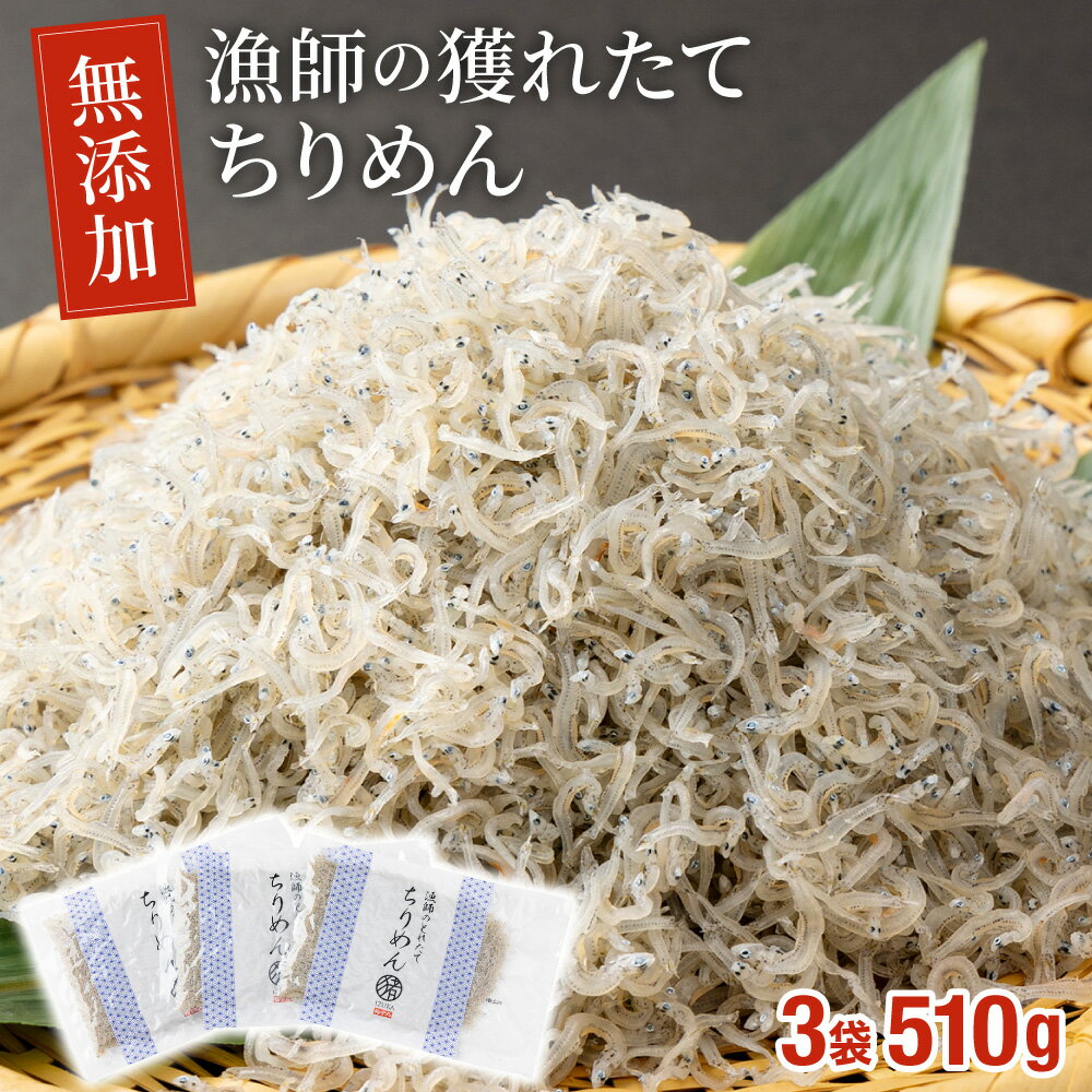 【ふるさと納税】漁師の獲れたてちりめん 計510g(170g×3袋)鮮度と美味しさに自信！ 海の幸【株式会社猪塚水産】【KU093】