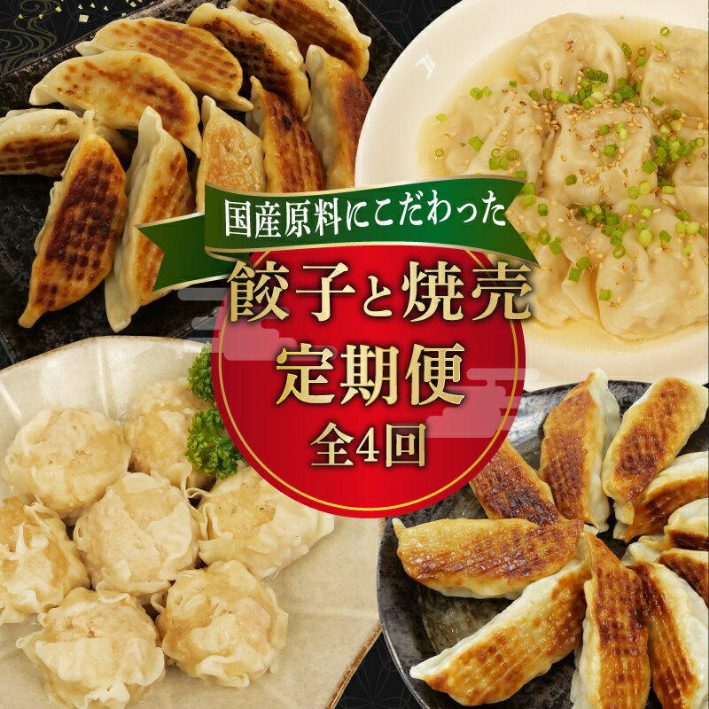 【ふるさと納税】 定期便 全4回 餃子 シュウマイ 詰め合わせ 国産野菜 国産豚肉 冷凍 ぎょうざ ギョーザ しゅうまい シューマイ 焼売 おつまみ 冷凍食品 惣菜 中華 おかず ビール つまみ 手作り 簡単 調理 ディナー パーティー 宴会 家飲み 時短 夜食 グルメ 藤枝市 静岡県