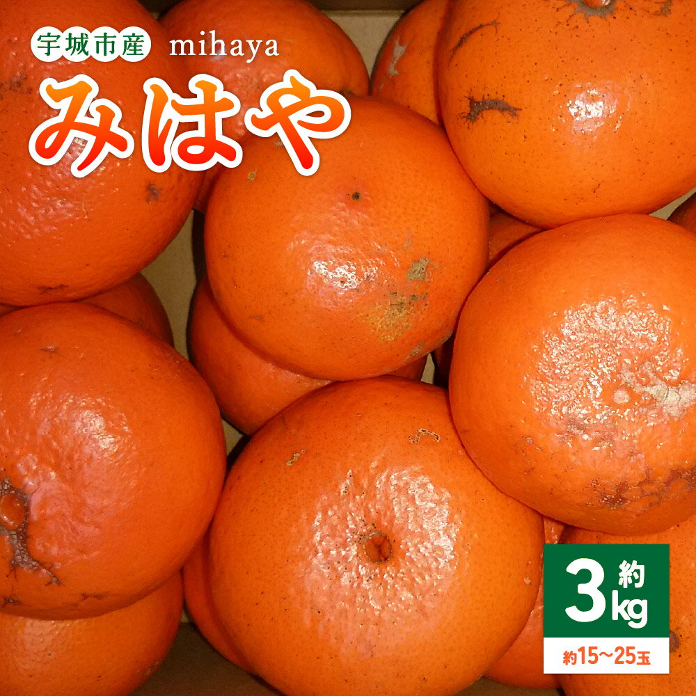 【ふるさと納税】【先行予約】 みかん みはや 約3kg 15〜25玉 【2026年1月上旬～2026年3月上旬頃順次発送予定】 柑橘 宇城市産 熊本県産 九州産 国産 送料無料 吉田レモニー