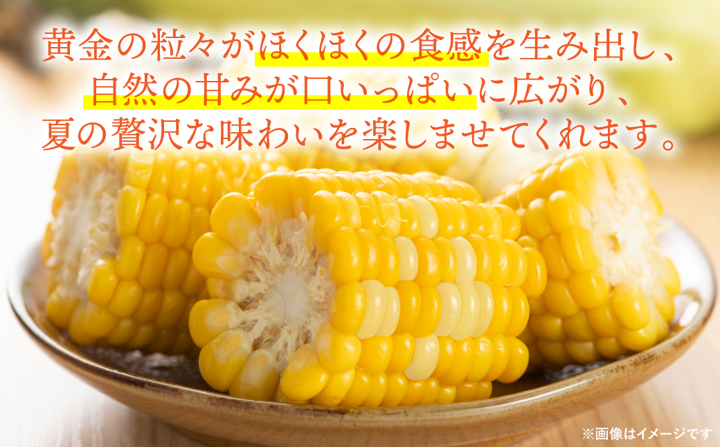 【先行予約】【2025年5月下旬より順次発送】スイートコーン10kg(22本～26本)_イメージ3