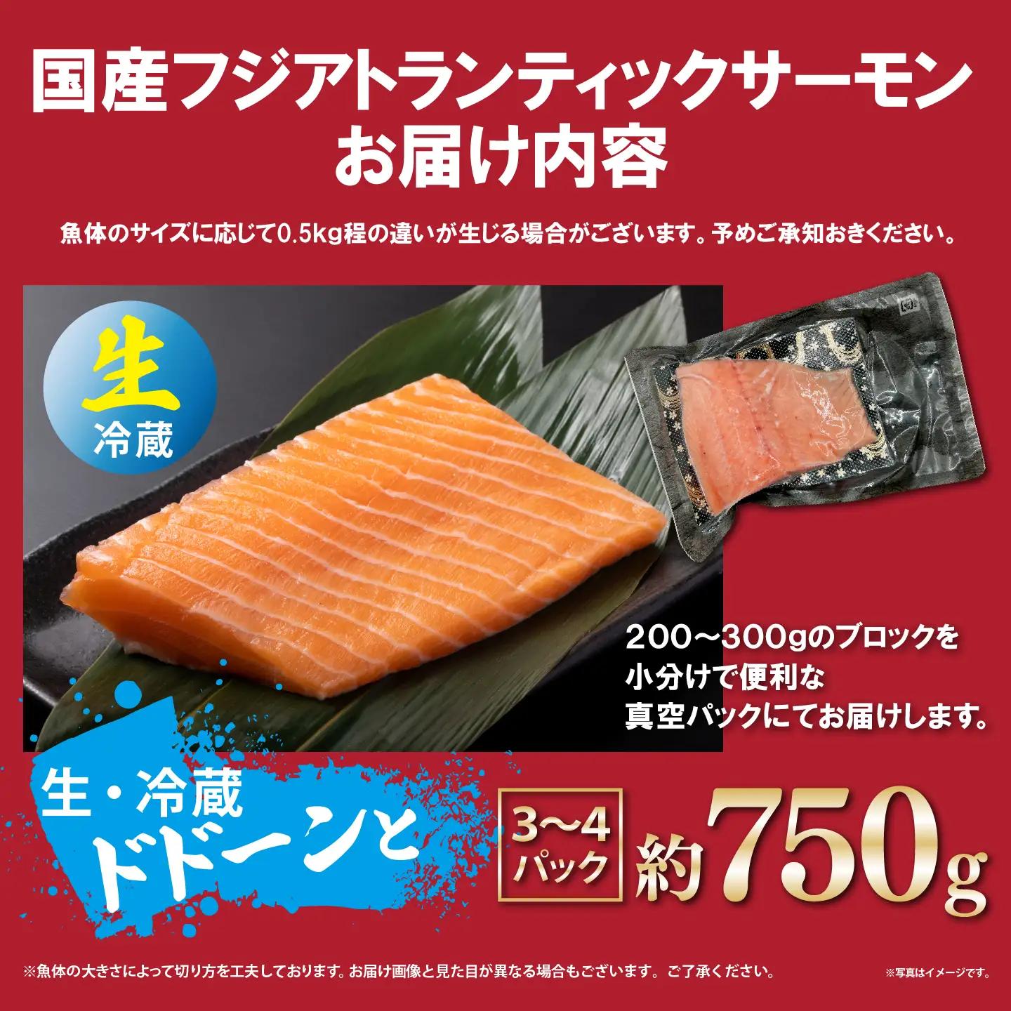 サーモン 約750g 小分け 3～4P 国産サーモン