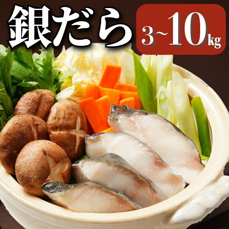 【ふるさと納税】 銀だら 真空パック入 約3~10kg 銀鱈 鱈 タラ 湯豆腐 寄せ鍋 鍋 真空パック 個別冷凍 惣菜 おかず 料理 照り焼き 煮付 冷凍 冷凍品 長期保存 保存食 鮮度 旨味 高級食材 お取り寄せ グルメ 食品 魚 大容量 ギフト 贈物 海鮮 千葉県 銚子市 エドノフーズ
