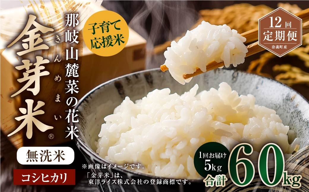 【12回定期便】子育て応援米那岐山麓菜の花米 金芽米 無洗米 コシヒカリ 5kg 米 お米 白米 ご飯 単一精米 無洗米 国産 定期便 岡山県 奈義町
