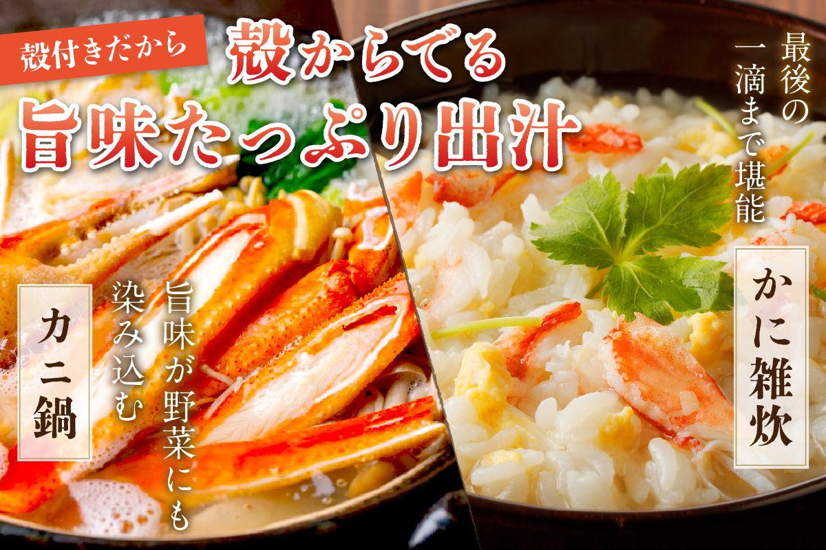 【大好評！カニ酢付き】厳選！！釜茹で　本ズワイガニ　２Lサイズ4肩　YK00406