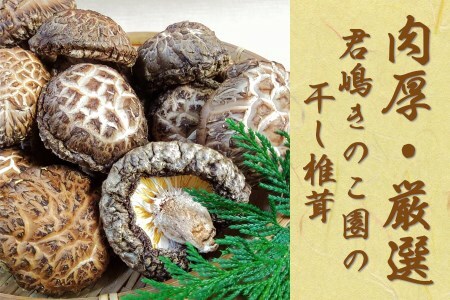 肉厚・厳選！原木育ちの上どんこ110g｜栃木県 矢板市 しいたけ 椎茸 産地直送  [0332]