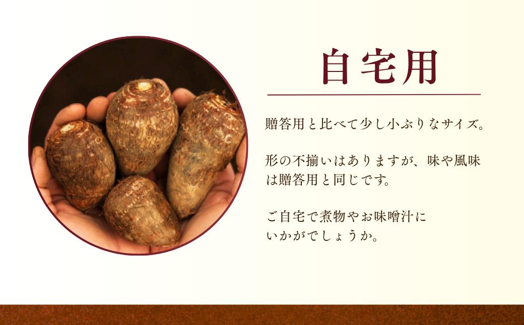 里芋 堀兼の里芋(自宅用) 2.5? | さといも 里いも 里芋 サトイモ 土付 野菜 旬 新鮮 期間限定 季節限定 根菜類 根菜 煮物 芋煮 コロッケ 味噌汁 みそ汁 おでん 産地直送 市川農園 埼